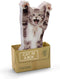 Mustard Sticky Post Notes Memo Pad, Cat In A Box Design
