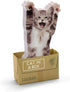 Mustard Sticky Post Notes Memo Pad, Cat In A Box Design
