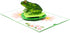 Green Frog Pop Up Card, Blank Frog Card with Envelope for Birthday, Kids Gift, Thank You, Get Well Soon