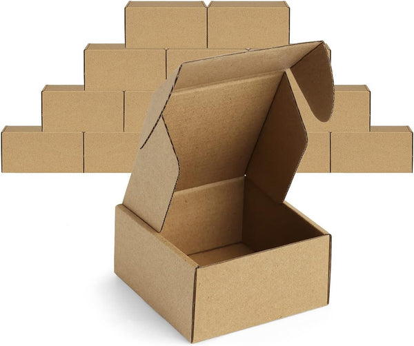 Famagic 12 Pack Small Shipping Boxes 4x4x2 Brown Corrugated Cardboard Mailer for Small Business