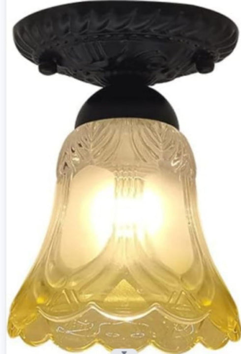 Zicobox Ceiling Fan Chandelier -Elegant Frosted and Clear Glass Light Shade Replacement - Stylish Upgrade