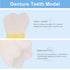 UPKOCH Molar Teeth Model for Dentist Simulation PVC Anatomical Tooth Specimen Oral Health Display Model for Teaching