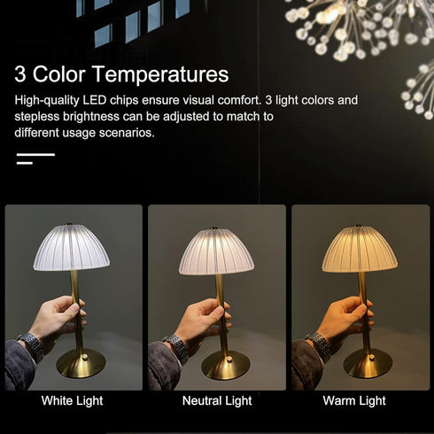 BWHSHK TD010 Gold Portable Desk Lamp for Bedroom,USB Rechargeable Table Lamp/Night Lamp