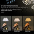 BWHSHK TD010 Gold Portable Desk Lamp for Bedroom,USB Rechargeable Table Lamp/Night Lamp