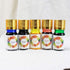 GIFTS Calligraphy Pen Set, 12-Piece Kit, 5 Nib & 5 Ink Set, Antique Dip Feather Pen Set (Wood + Feather)