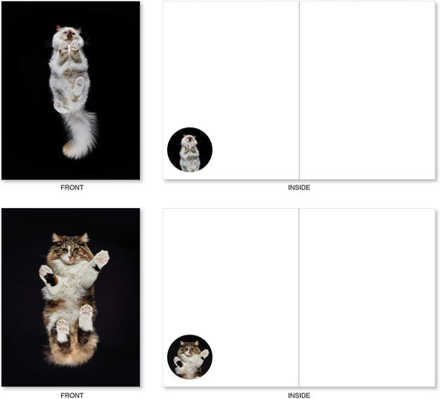 The Best Card Company - 20 Adorable Cat Greeting Cards (4 x 5.12 Inch) - Blank Assortment (10 Designs, 2 Each)