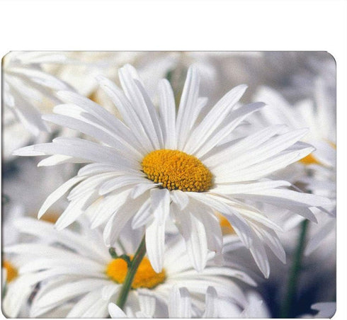 Daisy Gaming Mousepad | White Pure Daisy Flower Mouse Pad for Computer Desk Laptop Office 9.5 X 7.9 Inch
