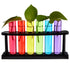 Juvale 4 Pack Plastic Test Tubes with Rack for Parties, 6 Colors (1.5 Ounces), Plant Propagation, Shot Glasses
