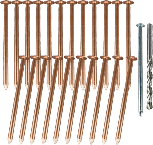Solid Pure Copper Nails Spikes, 26 Count for Killing Trees Stumps Roots with Steel/Drill Nails