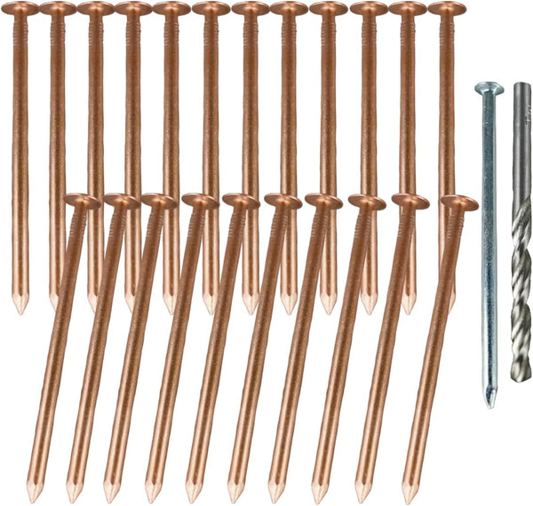 Solid Pure Copper Nails Spikes, 26 Count for Killing Trees Stumps Roots with Steel/Drill Nails