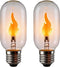 T45/T14 E26 LED Flame Bulb, 2W 1800K Warm Amber Clear Glass Cage,