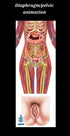 A4 Blue Tree Publishing Pelvic Health and Pelvic floor Charts size with interactive QR codes that link to animations