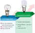 Poeland 1.5W LED Bulb, E14 Base, Warm White, Pack of 2