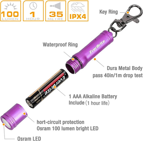 EverBrite Mini Keychain LED Flashlight, Portable Pocket Torch for EDC, Camping, Emergency