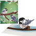Set 12-Pack) 3D 4.5" 5.9" Lovepop Spring Bird Basket Series Box (Assorted Pop-Up Card for Her and Him - Everyday
