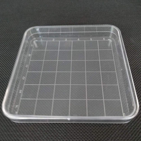 Scicalife 10 Sets Square Petri Dish with Lids, Plastic Material Container for School Lab Science Experiment