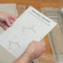 ChromaLabel 1 Inch Clear Labels Wafer Seals, 500 Per Roll, Non-Perforated Transparent Stickers for Secure Mailing