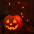 50 100 Bulbs 6" Commercial Novelty Lights Feet Traditional Incandescent Mini Lights, Amber on Brown Wire with Spacing