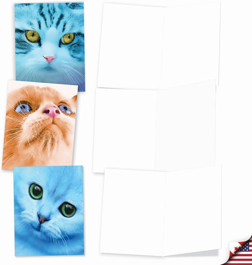 The Best Card Company 20 Adorable Cat Greeting Cards, Blank Assortment (4 x 5.12 Inch, 10 Designs, 2 Each)