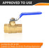 1-Pack 1/2 Inch FIP Threaded Ball Valve, Brass Full Port Shut-off Valve, 600 WOG, Blue