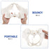 Communication, LYOU Life-Size Flexible Female Pelvis Model for Science Education, Obstetrics, Gynecology & Patient