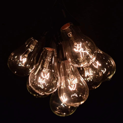 (PS50 10 Hometown Evolution, Inc. Vintage Edison Outdoor String Lights Clear - Black Wire, ft)
