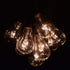 (PS50 10 Hometown Evolution, Inc. Vintage Edison Outdoor String Lights Clear - Black Wire, ft)