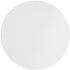 Omicron 130047 Borosilicate Glass Fiber Binder Free Filter, 1.6 µm, 47 mm, Pack of 100