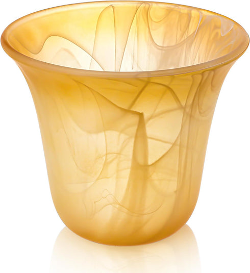 Teenyyou 1 Pcs Bell Shaped Glass Lamp Shade E26 Replacement Globe Ceiling
