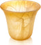 Teenyyou 1 Pcs Bell Shaped Glass Lamp Shade E26 Replacement Globe Ceiling