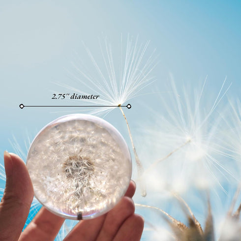 Pletmin 2.76 inch Dandelion Ball Night Light, Ball Night Lamp with Wooden Base, Fall Decorations for Home Gift for Dad