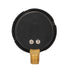 Measureman 2” Pool Filter Pressure Gauge, 60 PSI, 1/4” NPT Bottom Mount for Swimming Pool and Spa