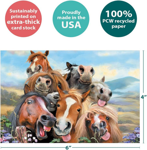 Tree-Free Greetings EcoNotes 12 Count Horses Selfie Notecard Set with Envelopes, 4 x 6 Inches