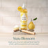 16 oz, 3 Pack) Puracy Natural Dish Soap - Skin-Softening Dishwashing Soap, Non-Toxic Dish Soap, Organic Liquid