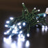 50 Count Wide Angle 5MM Mini LED Christmas Lights, White String Lights for Indoor and Outdoor Decoration