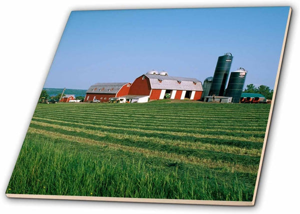 3dRose New York, Finger Lakes, Dairy Farm, Cayuga Lake - US33 MGI0074