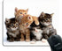 Smooffly Cats Mouse Pad for Computers, Kittens Family Cats Design