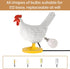 Bulb, 3D Chicken Egg Lamp, Funny Chicken Butt Night Light with Egg, Lifelike Rooster Lamp with Chicken Lights