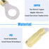 Glarks 50pcs 12-10 Gauge M8 Ring Nylon Heat Shrink Waterproof Quick Disconnect Electrical Connectors Kit