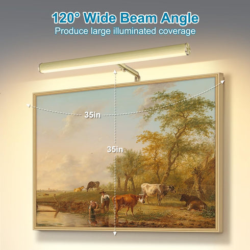 14 Inch 4W CRI90+, 3000K LED Picture Lights for Paintings Plug in, Adjustable Art Light Gallery Wall Light for Display