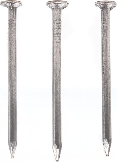 300pcs 20mm / 0.75 Inch Length Flat Nails for Picture Wall Hanging, Common Nails