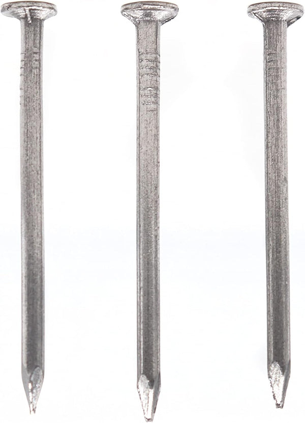 300pcs 20mm / 0.75 Inch Length Flat Nails for Picture Wall Hanging, Common Nails