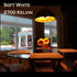 Half Gold Light Bulb Dimmable, 6W G80/G25 Globe Shape, 2700K Warm White Edison Bulb, Gold Tipped Mirror, Pack of 2