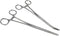 HTS 161S2 2 Pc Locking Straight & Curved Hemostat Set, 8"