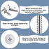 Peryiter 150 #8 1/2", 3/4", 5/8", 1", 1-1/2" Pcs Shutter Screws White Head Size White Pan Cabinet Screws for Wood, Wall