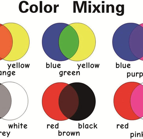 SANTSUN Educational Preschool Posters - Color Mixing Wall Charts for Kindergarten - 42x60cm (17x24 inch) School