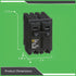 Plug In Circuit Breaker, HOM, 2 Poles, 60 Amps, 120/240VAC, Standard