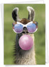 The Best Card Company Birthday Greeting Card - 5 x 7 Inch Envelope, Bday Balloon Llama Design
