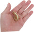 OUNONA Drawer Knob Solid Brass Nautilus Shape Door Knob Unique Retro Brass Cabinet Handle for Drawers Cabinets