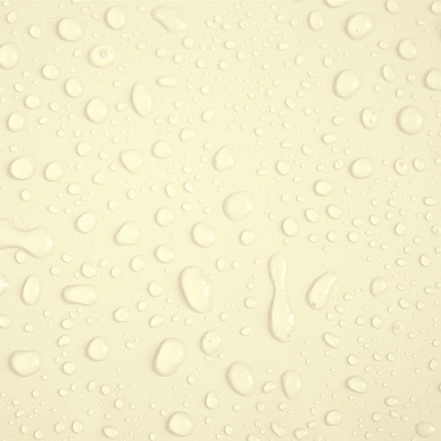 Waterproof Laser Printer Copy Paper, Ivory 8.5" x 11" Sheets, 25 Sheets, 5 MIL TerraSlate (24lb Bond), Printable